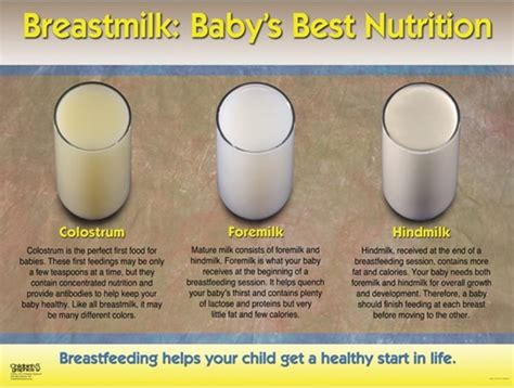 leaking colostrum at 32 weeks|Understanding lactation: Signs your milk is coming in during。